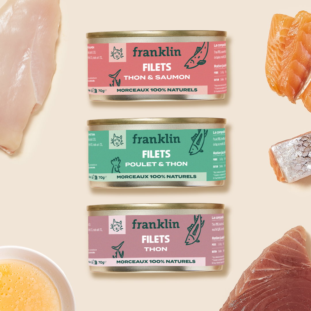 TRIO FILETS