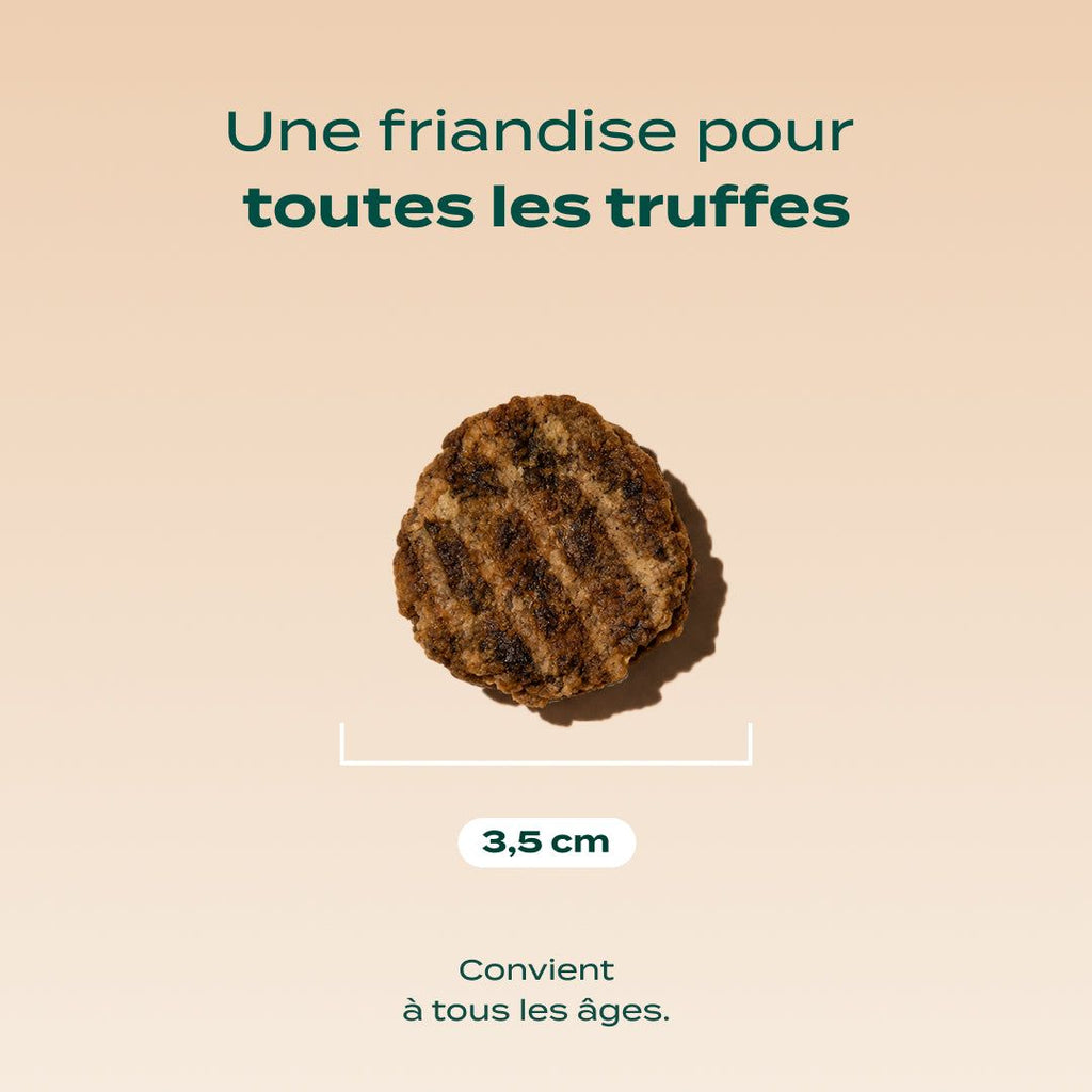 BOEUF SÉCHÉ BARBECUE