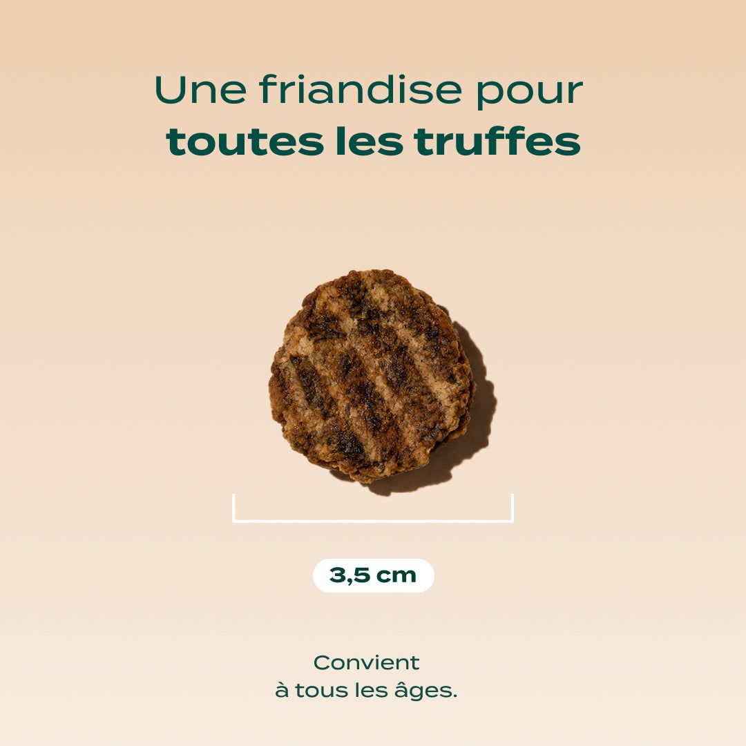 BOEUF SÉCHÉ BARBECUE