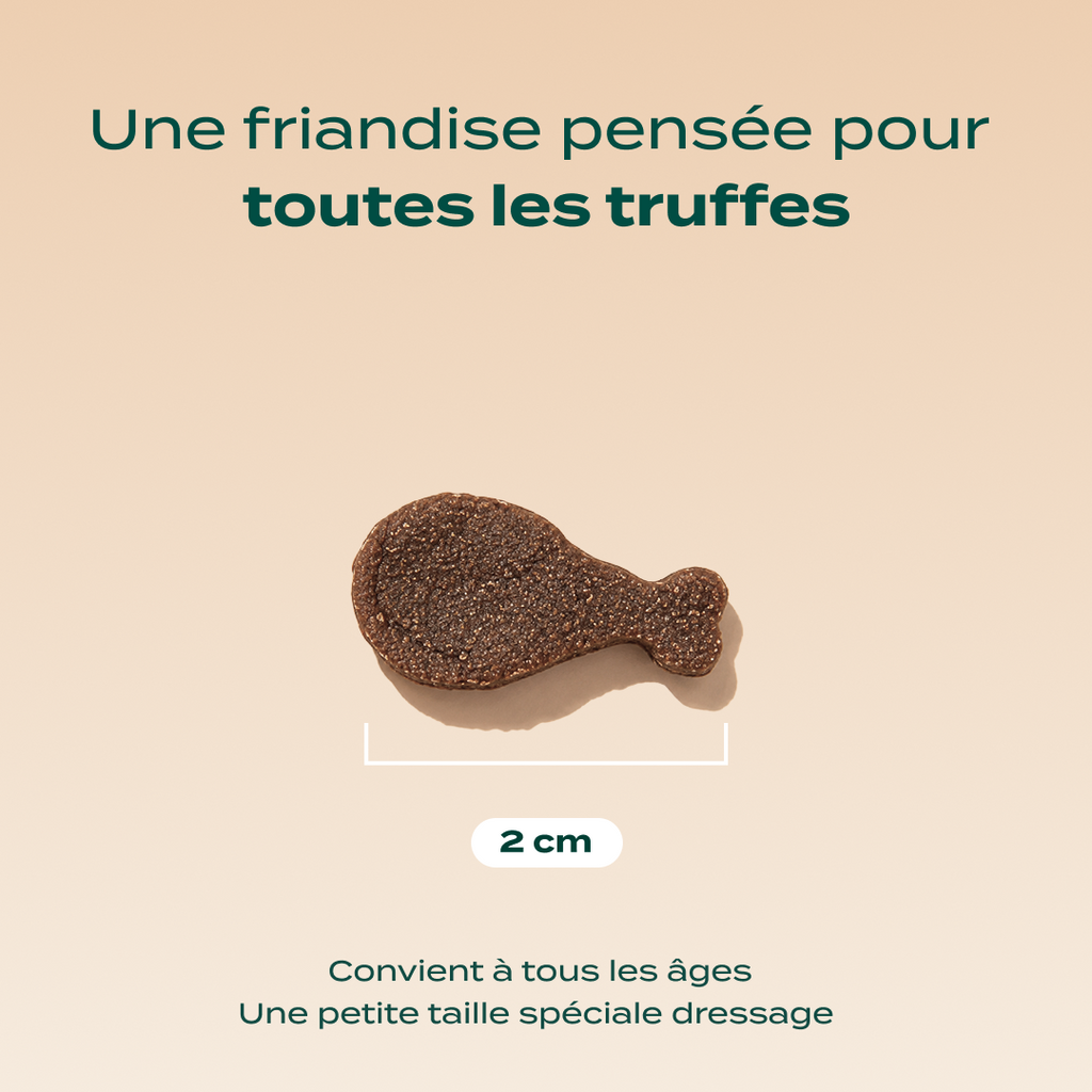 DRESSAGE CANARD