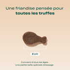 DRESSAGE CANARD