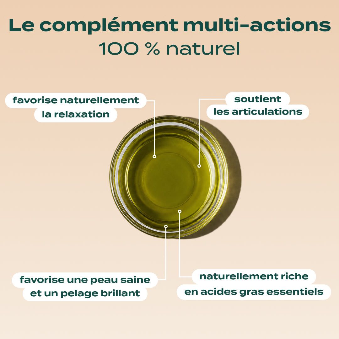 HUILE DE CHANVRE BIO