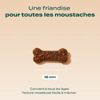 MINI SNACK URINAIRE