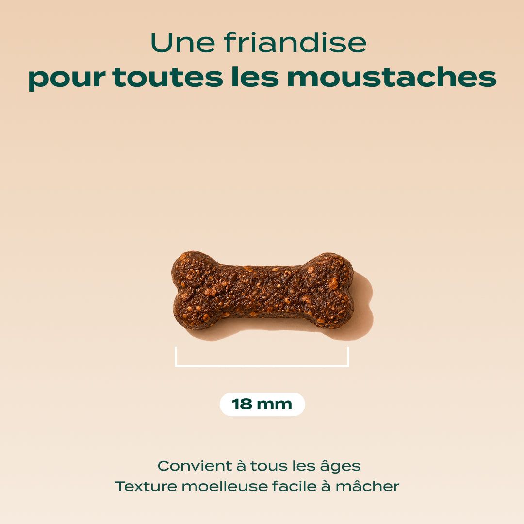 MINI SNACK URINAIRE