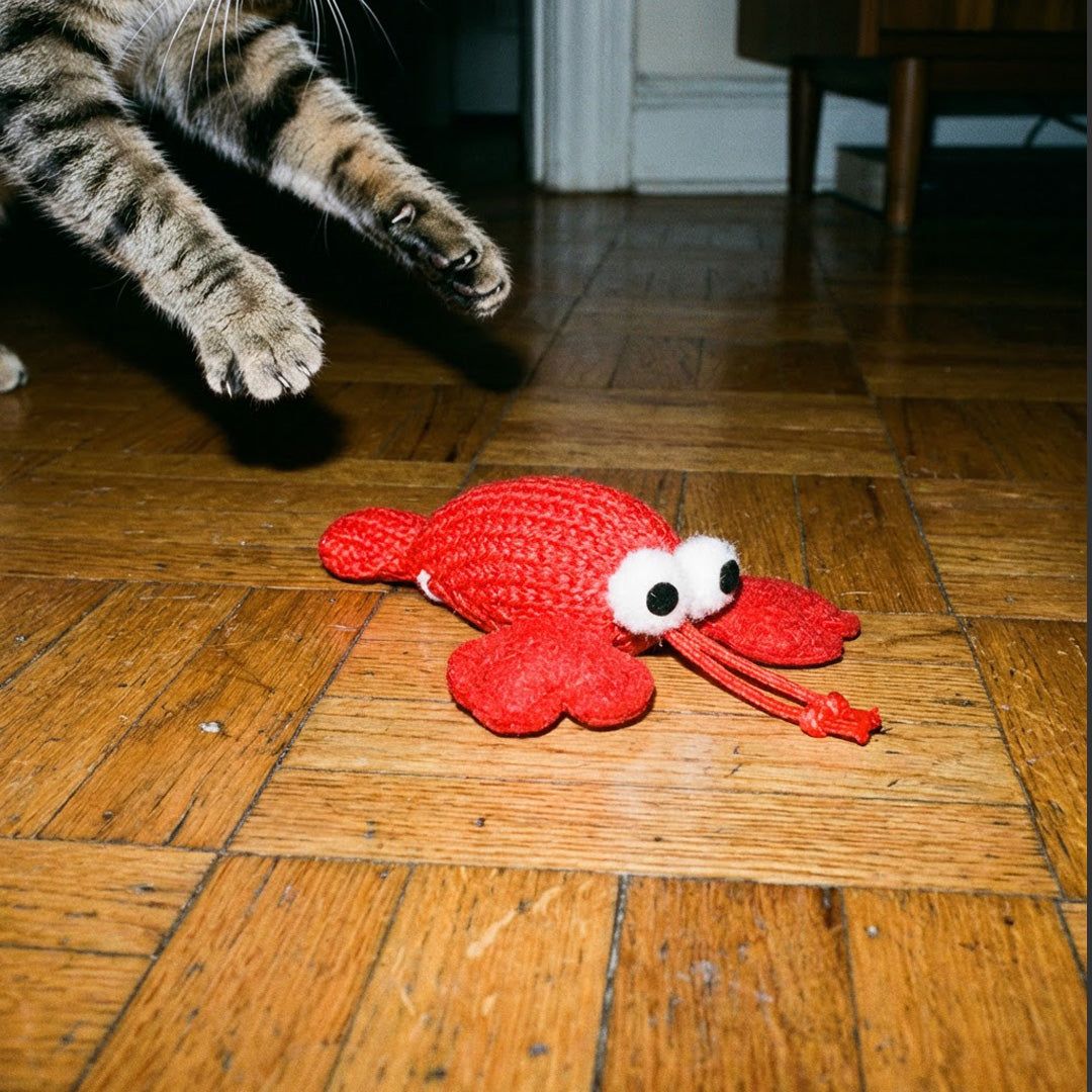 JOUET HOMARD CHAT (CADEAU ABONNÉ)