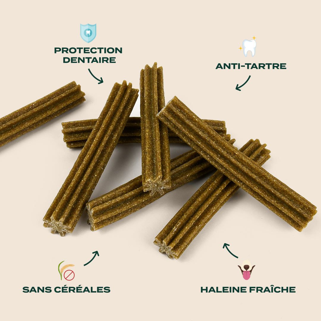 STICKS MENTHE, SAUGE - Offre compte abonné