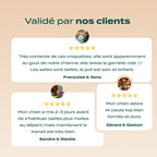PACK DIGESTION CHIEN