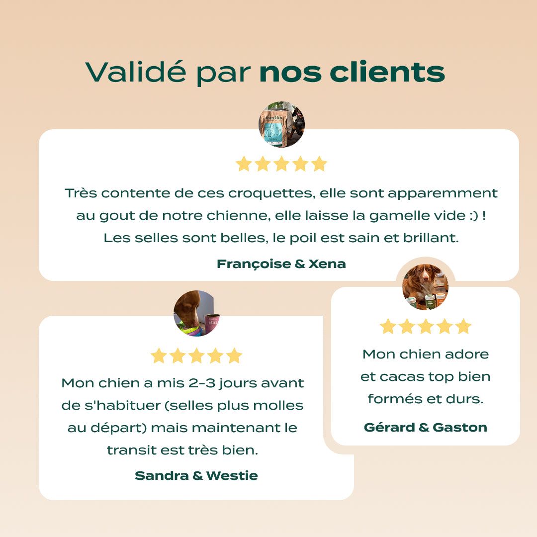 PACK DIGESTION CHIEN