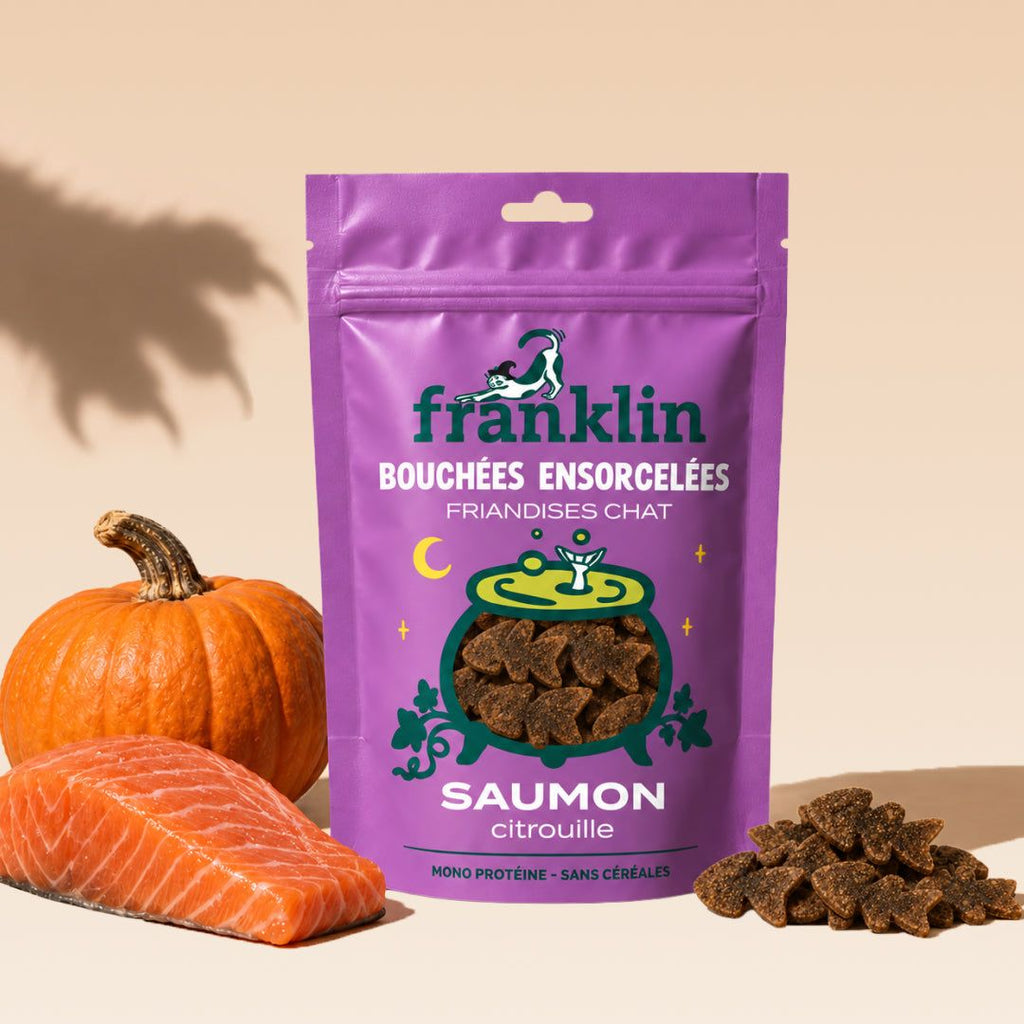 BOUCHÉES ENSORCELÉES SAUMON, CITROUILLE