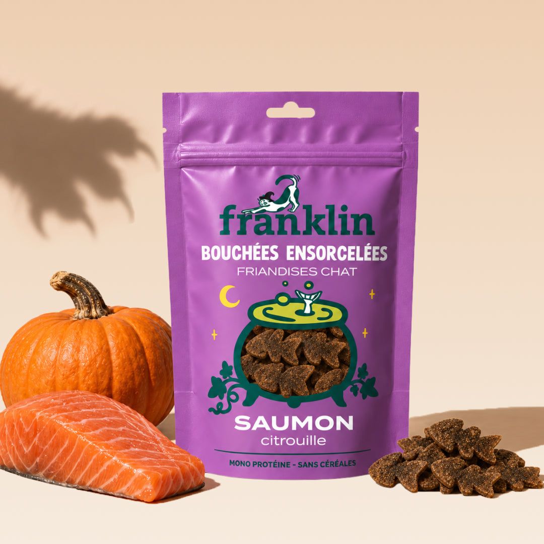 BOUCHÉES ENSORCELÉES SAUMON, CITROUILLE