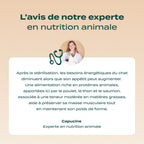POULET, THON, SAUMON