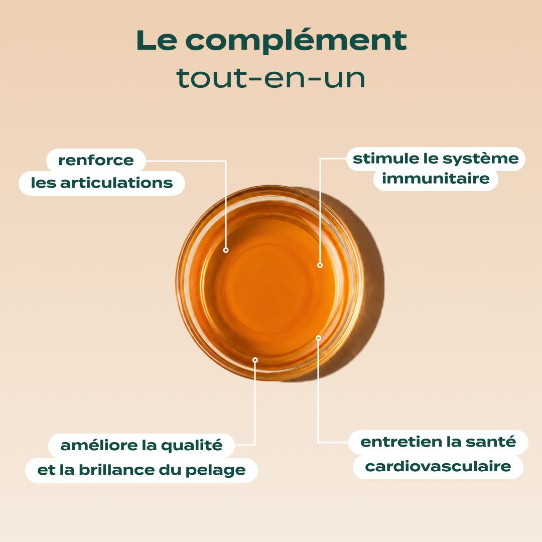 HUILE DE SAUMON