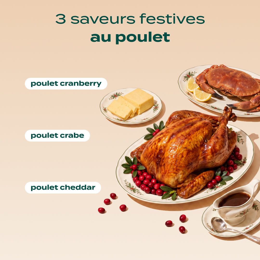 MULTIPACK MINI TUBES POULET