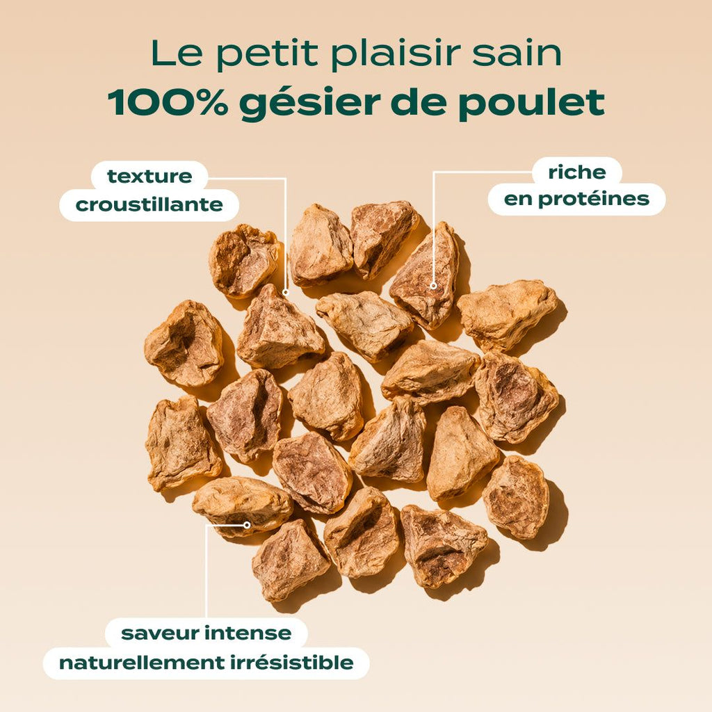 SNACK GÉSIER DE POULET
