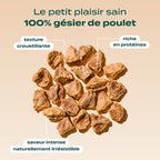 SNACK GÉSIER DE POULET