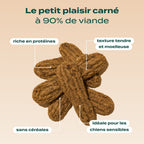 CANARD SÉCHÉ