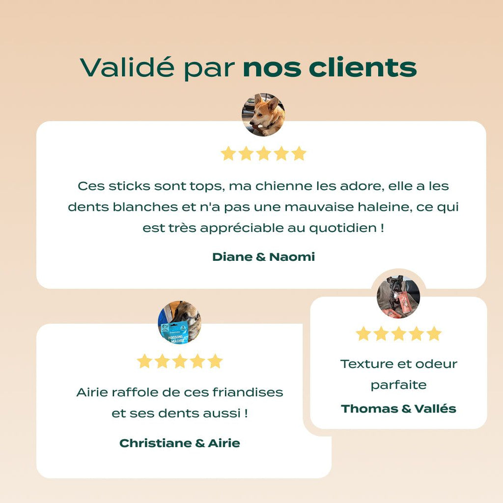 PACK DENTAIRE CHIEN