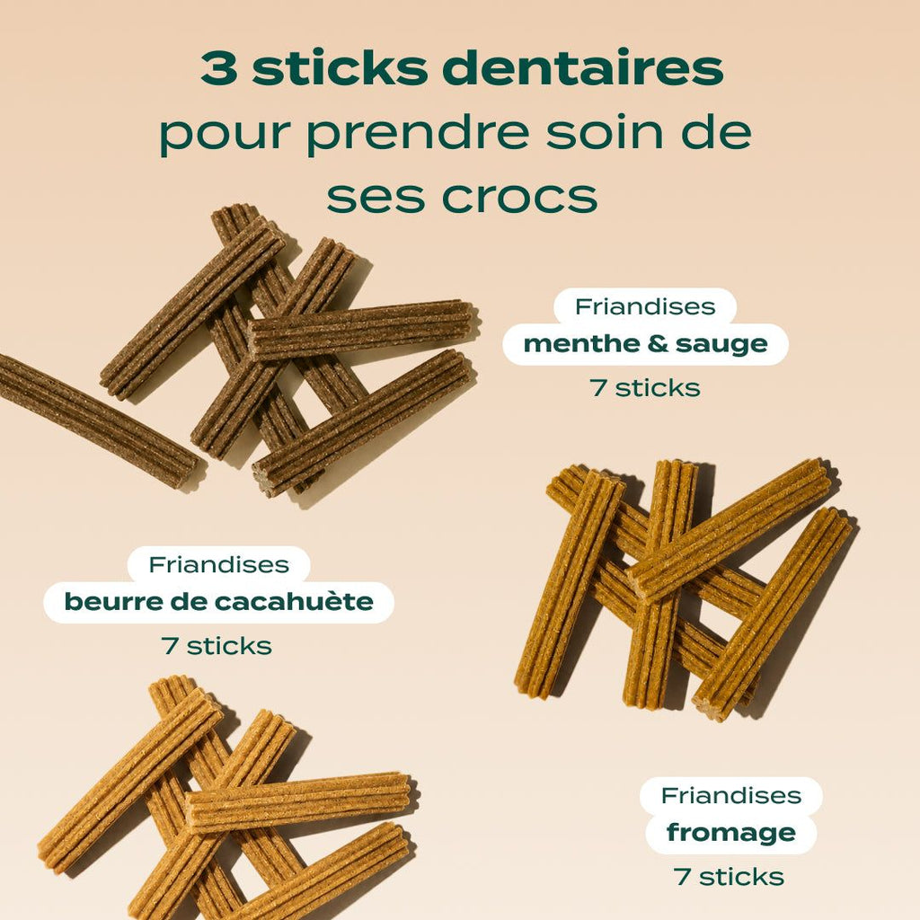 TRIO STICKS DENTAIRES