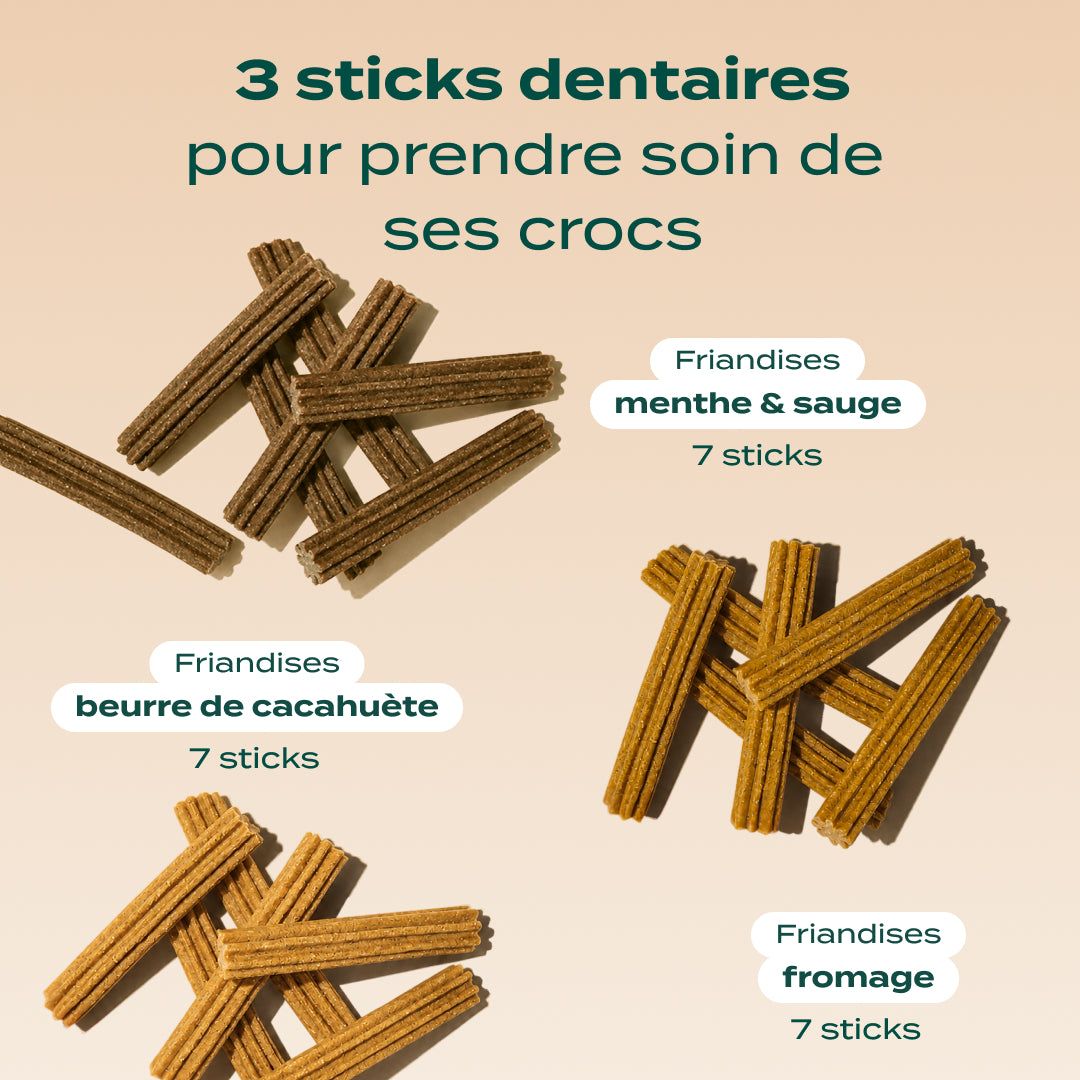 TRIO STICKS DENTAIRES
