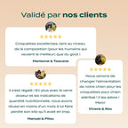 POULET, COURGE, MYRTILLE