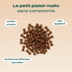 MINI SNACK URINAIRE