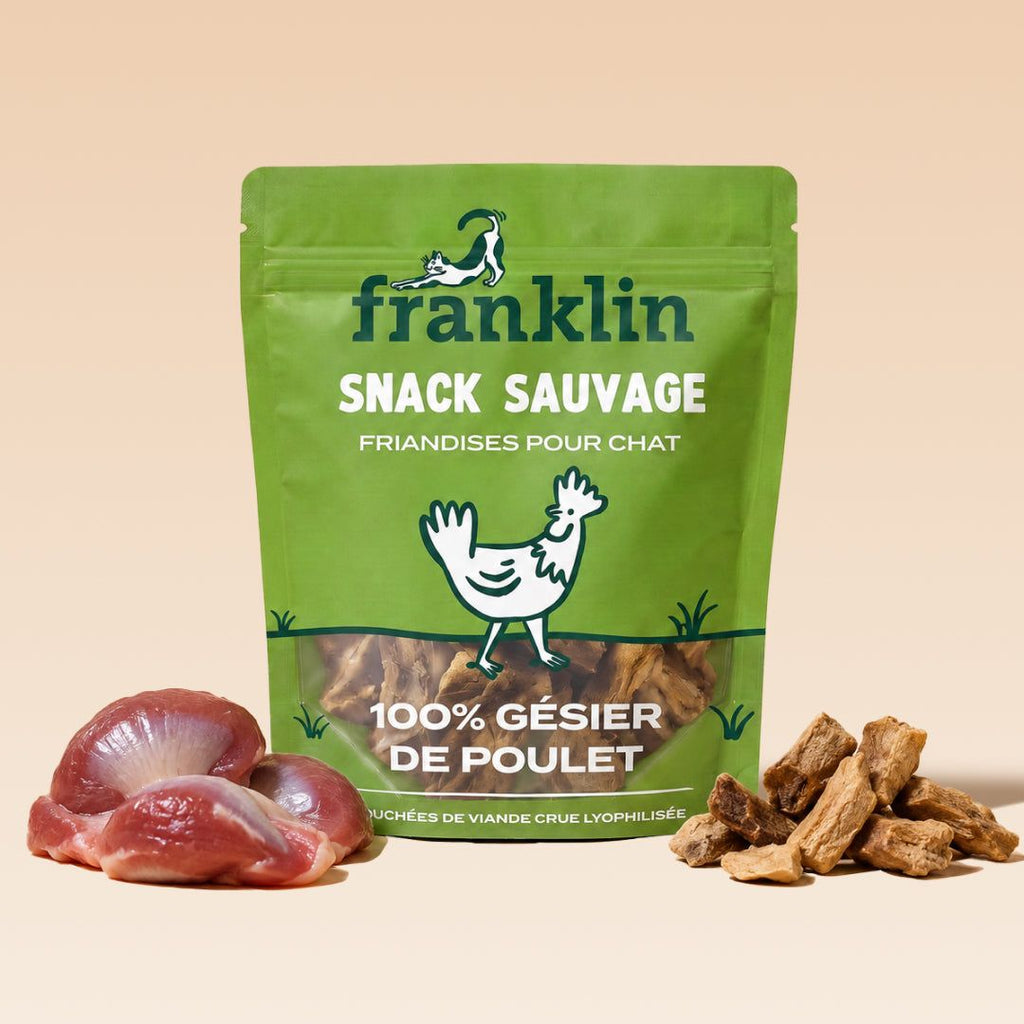 SNACK GÉSIER DE POULET