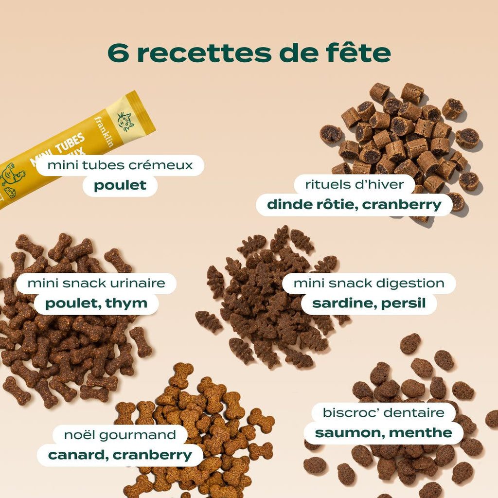 CALENDRIER DE L'AVENT