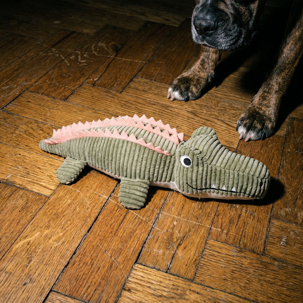 DOUDOU CROCODILE CHIEN