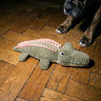 DOUDOU CROCODILE CHIEN
