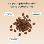BISCROC' DENTAIRE