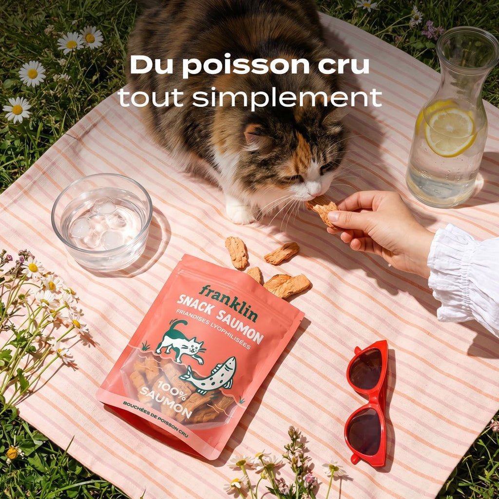 SNACK SAUMON