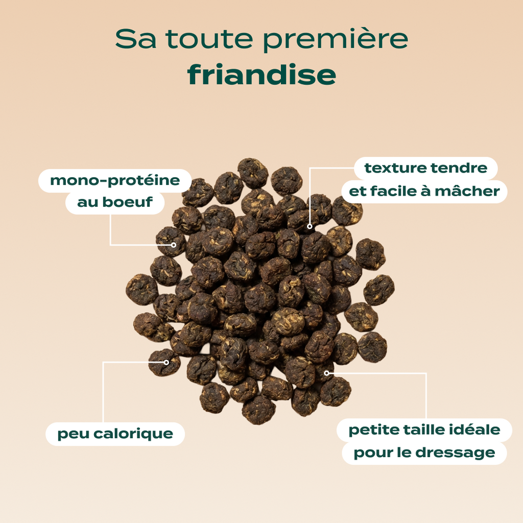 Mini viande séchée boeuf