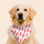 BANDANA 100% COTON CHIEN