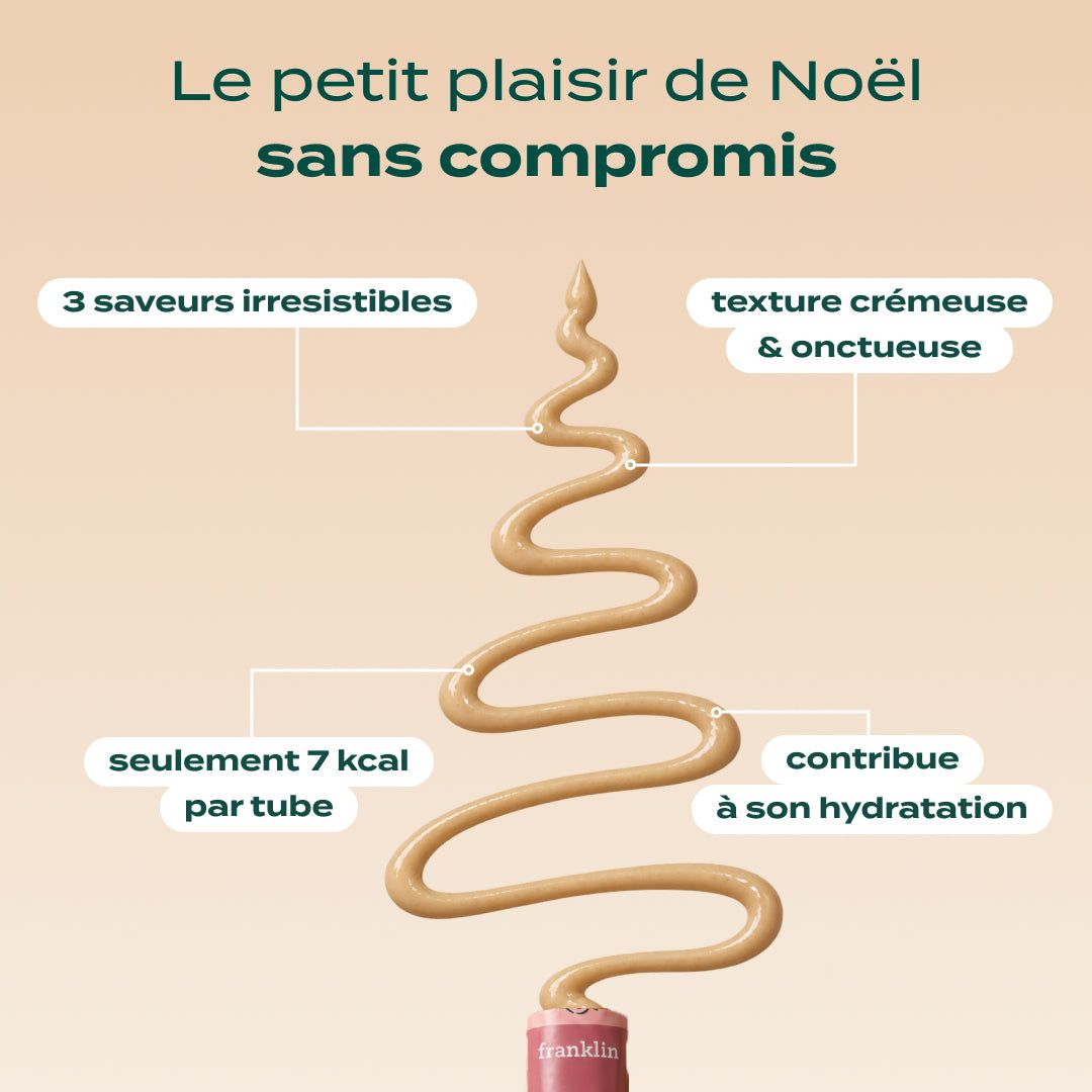 MULTIPACK MINI TUBES POULET