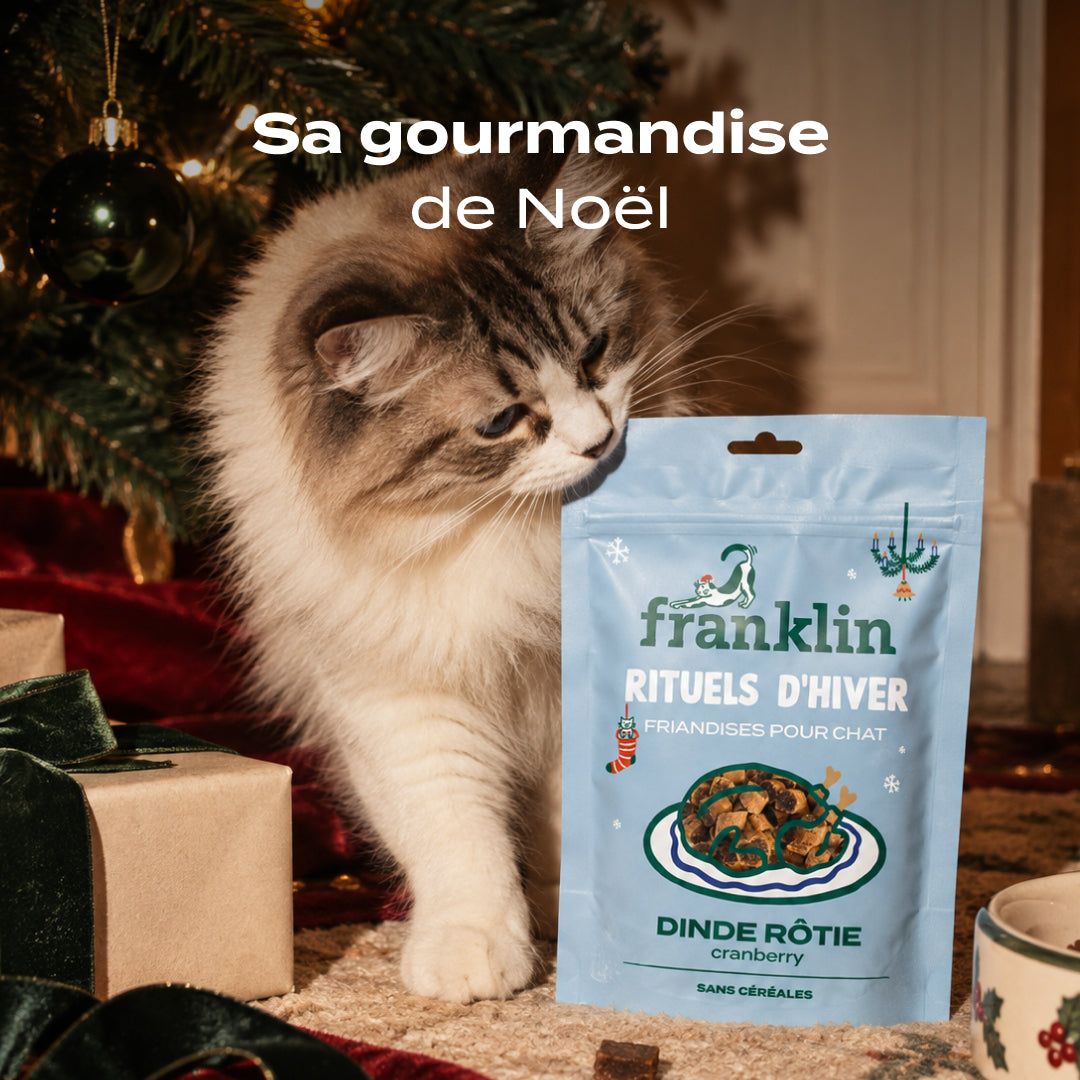 RITUELS D'HIVER DINDE, CRANBERRY
