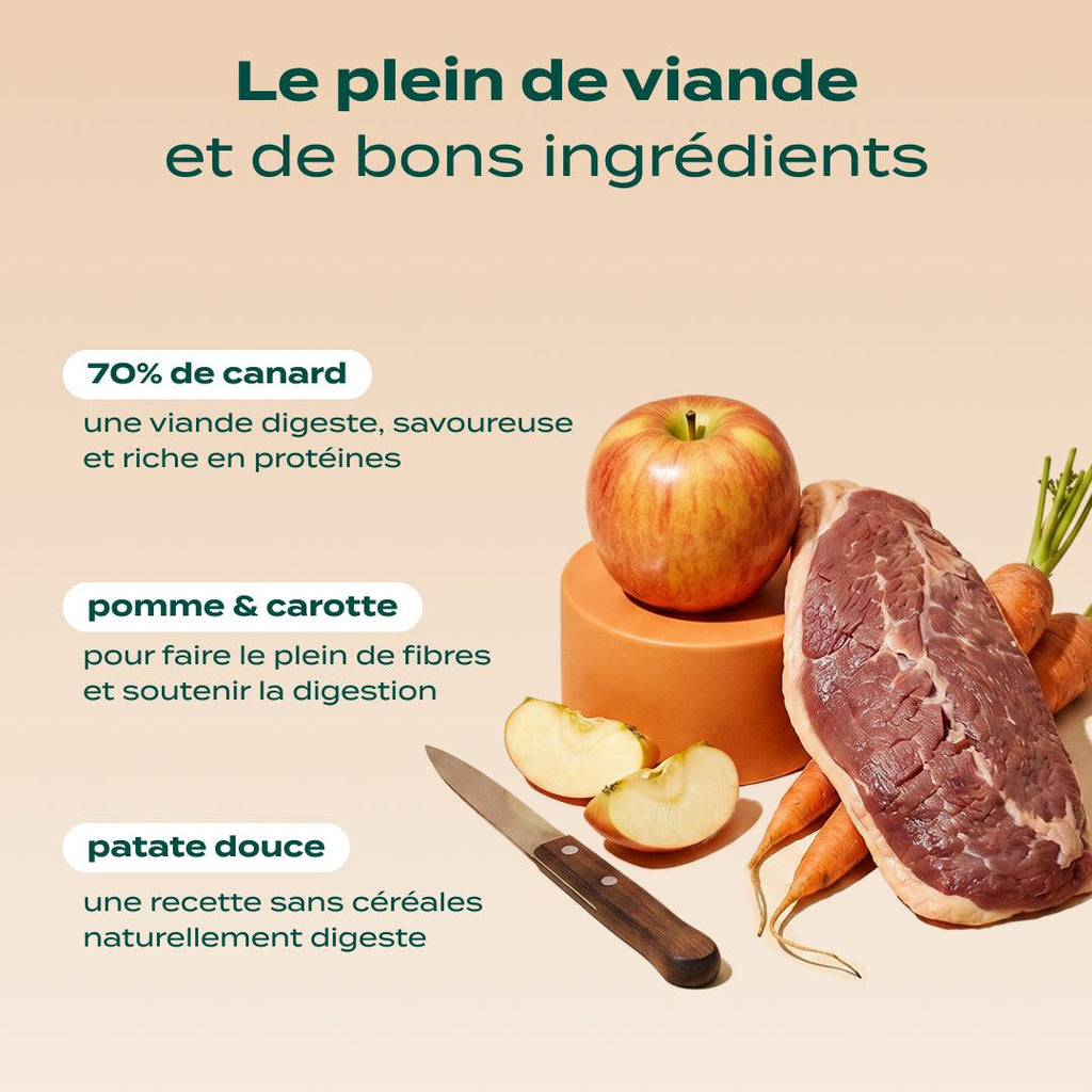 CANARD, POMME, CAROTTE