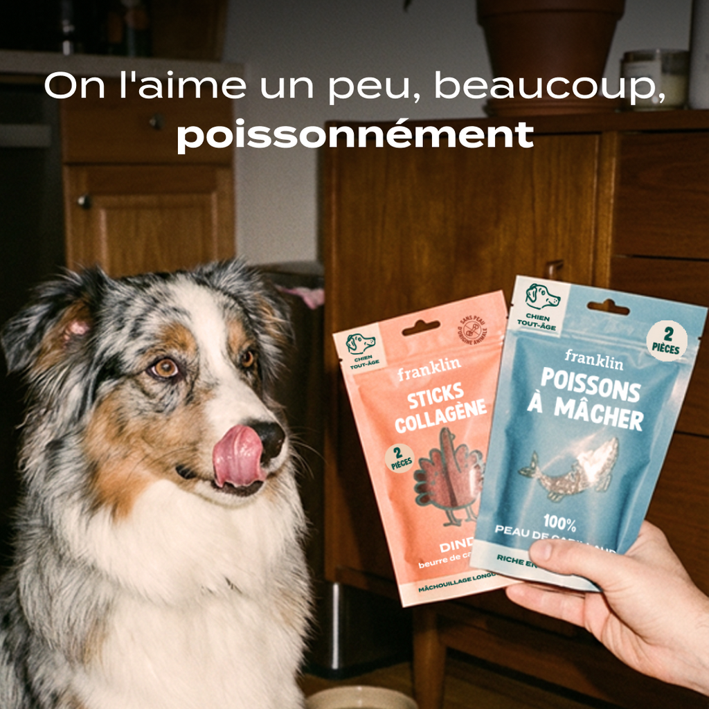 DUO 100% COLLAGÈNE