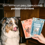 DUO 100% COLLAGÈNE