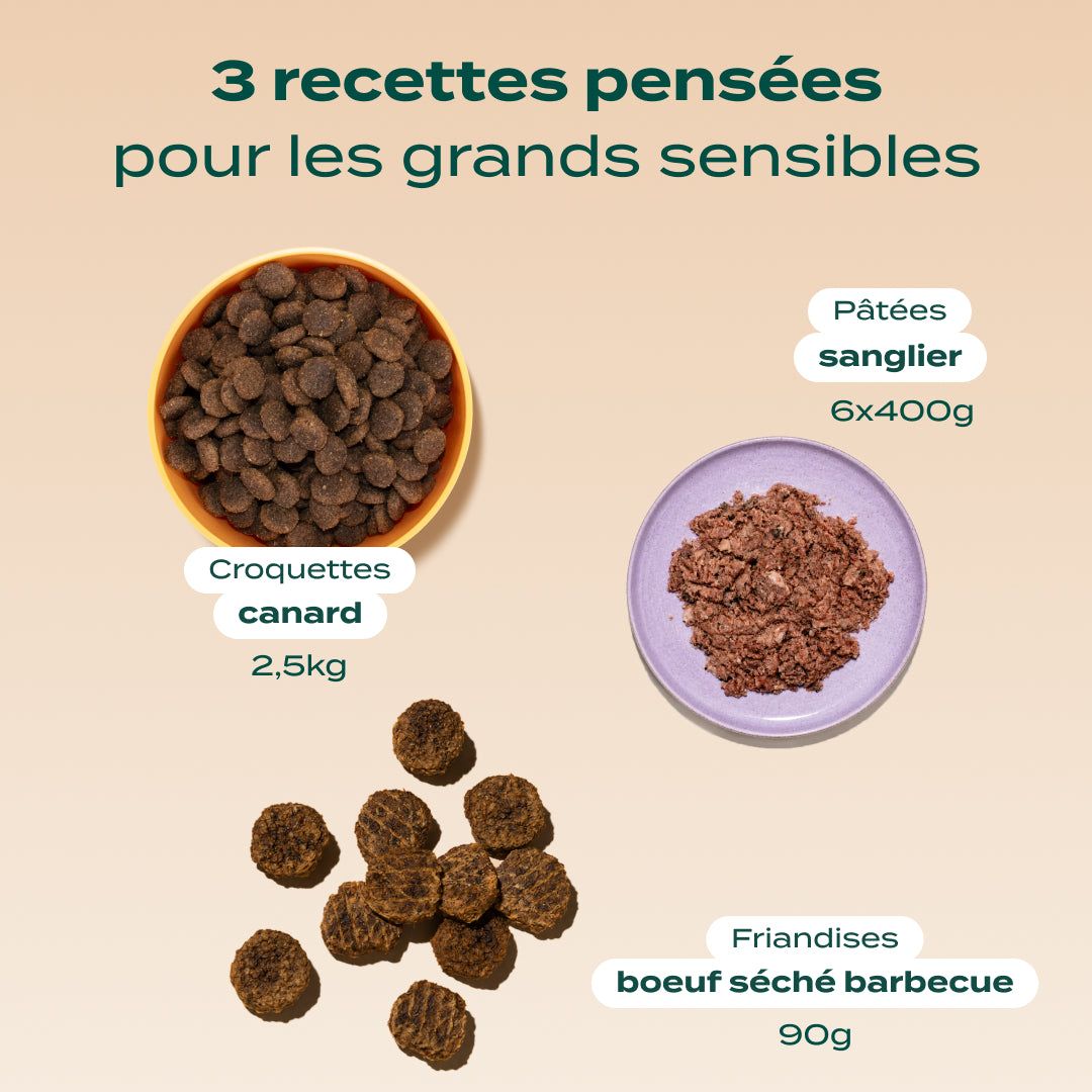 PACK CHIEN DIFFICILE