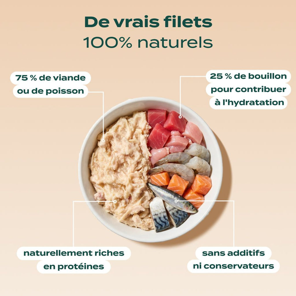 MULTIPACK FILETS 6 SAVEURS
