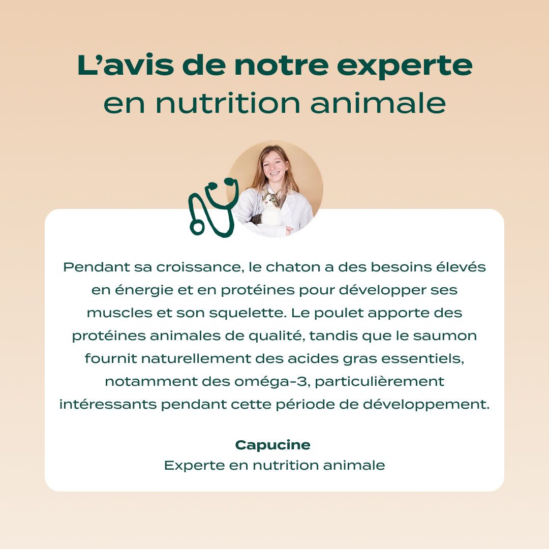 POULET, SAUMON, CAROTTE
