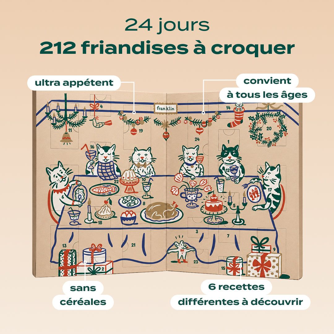 CALENDRIER DE L'AVENT