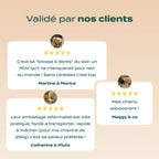 STICKS AU FROMAGE