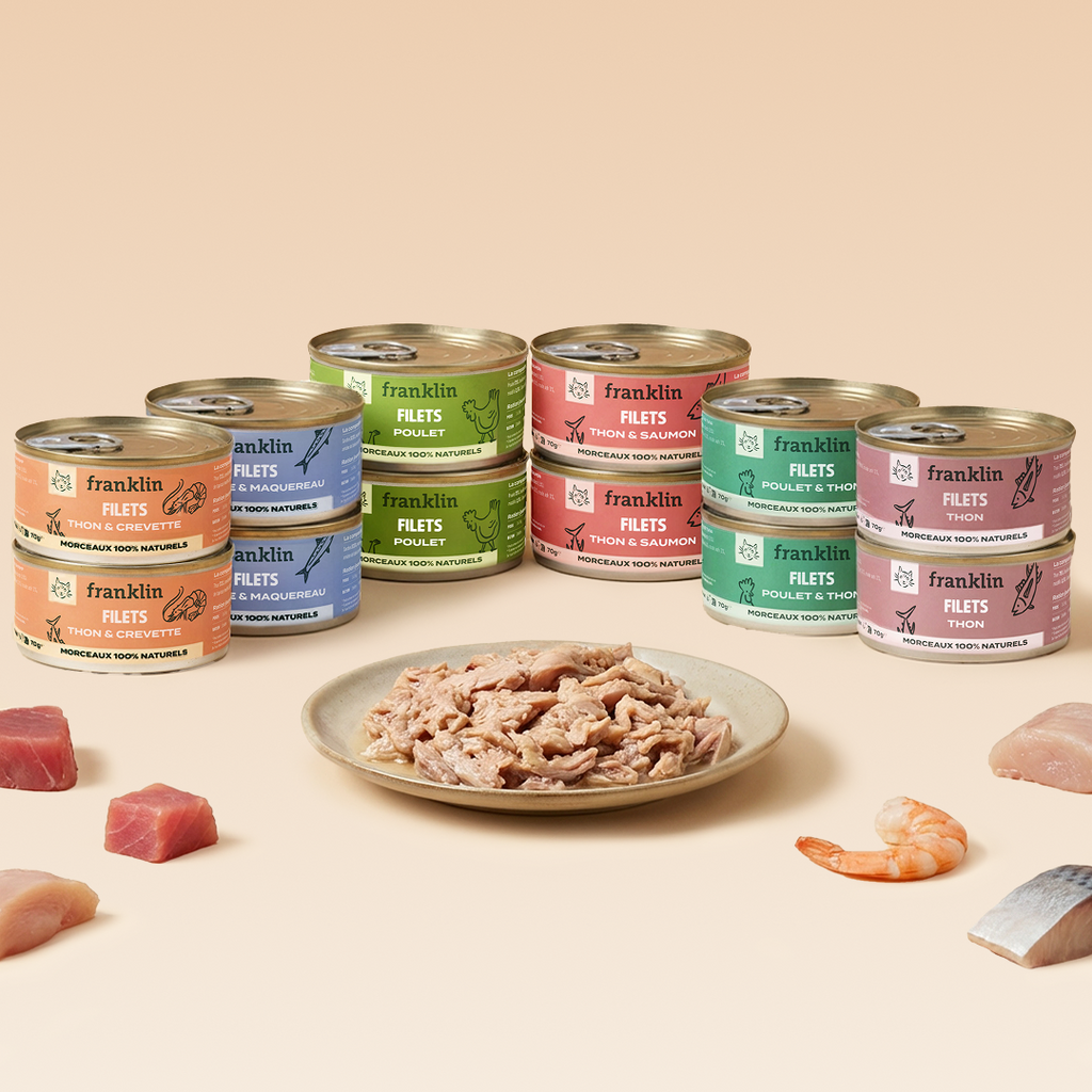 MULTIPACK FILETS 6 SAVEURS