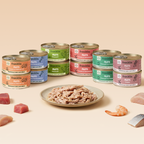MULTIPACK FILETS 6 SAVEURS