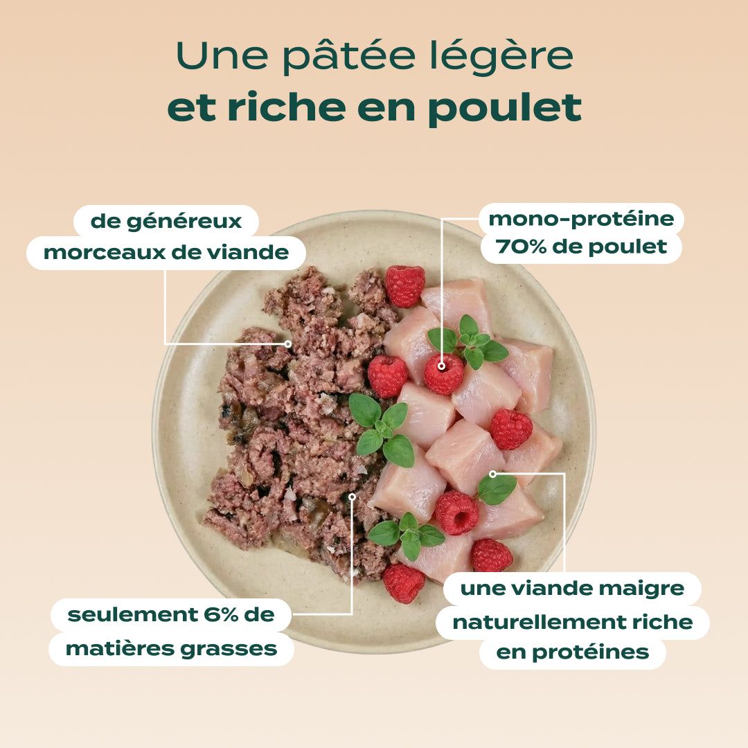 TRIO 3 SAVEURS PÂTÉES