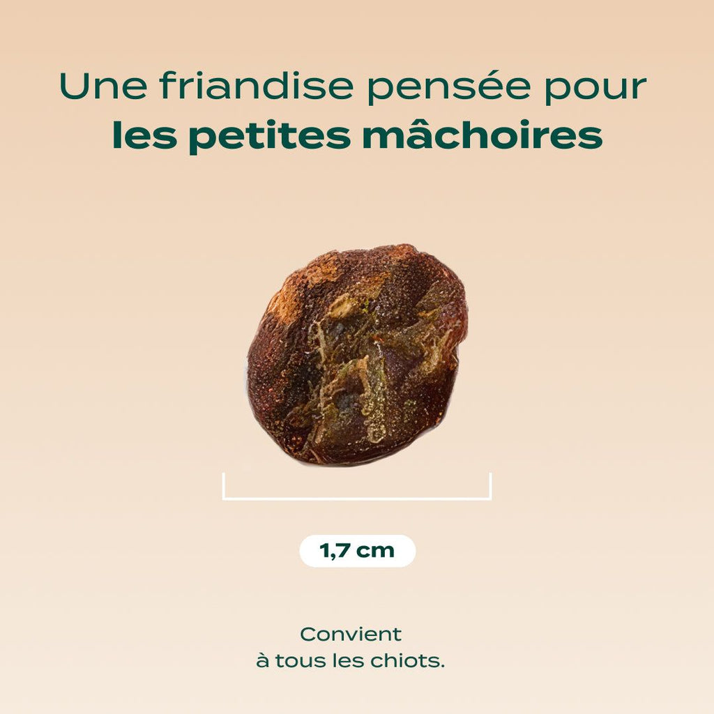 Mini viande séchée boeuf