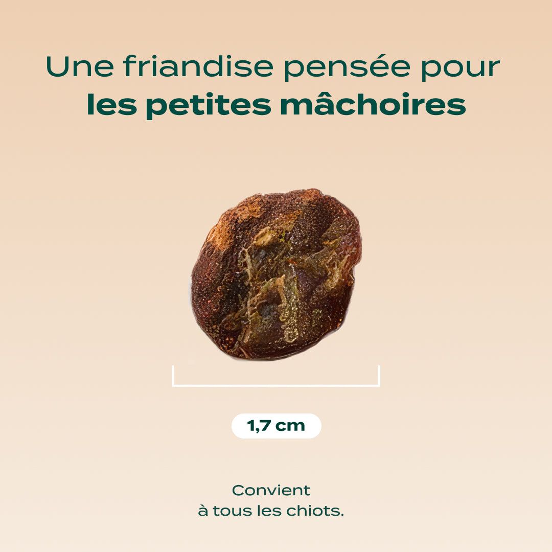 Mini viande séchée boeuf