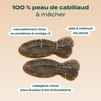 PACK STICKS DENTAIRES
