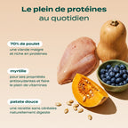 POULET, COURGE, MYRTILLE